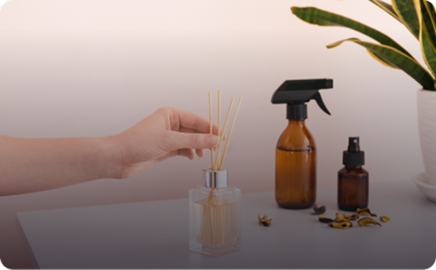 Lorem ipsum dolor sit amet, consectetur adipiscing elit,